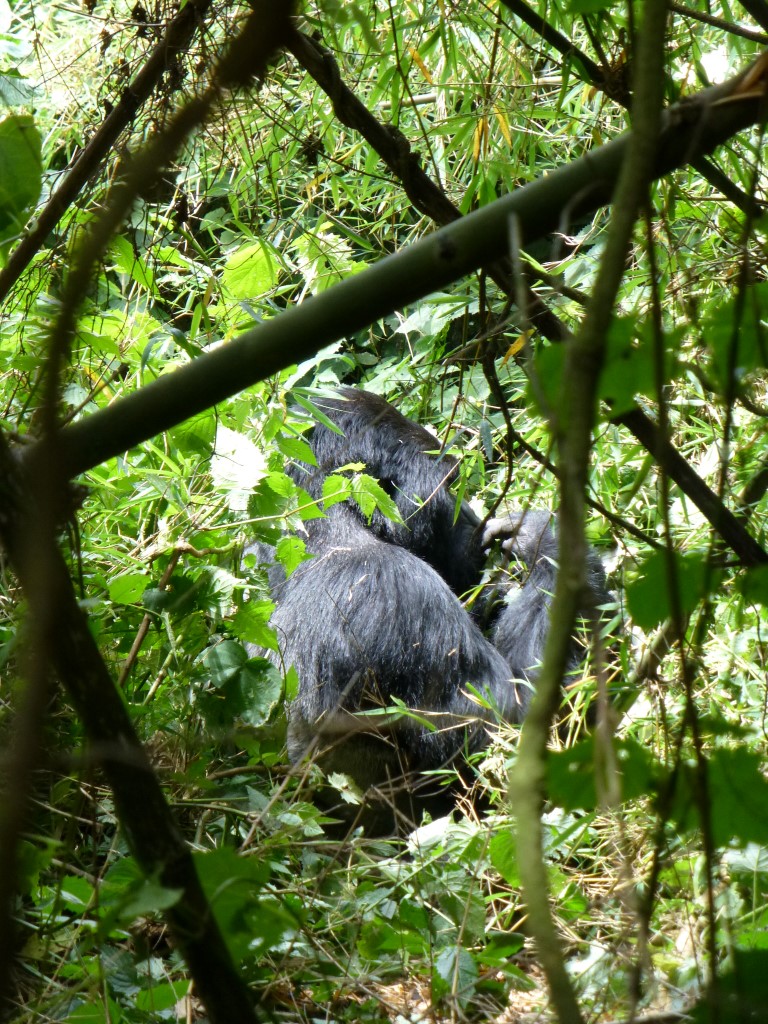 Itinerary-Photos-2015-48-5a0b07d841032