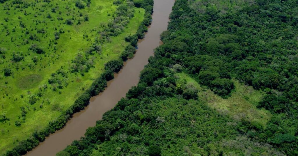 Image of the Congo River
