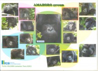Amahoro-195x141-5a0a12bea1adf