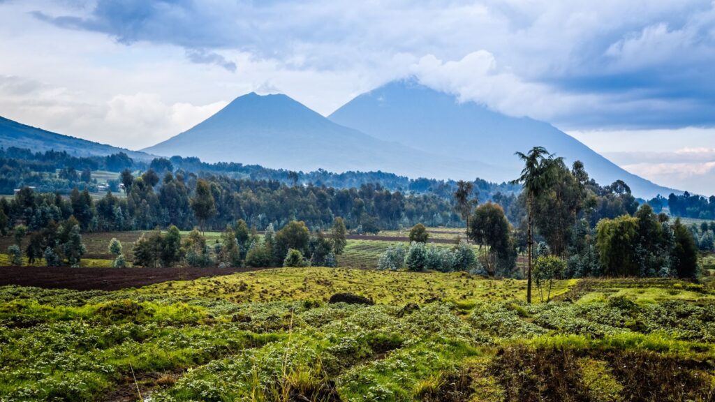 Volcano National Park
