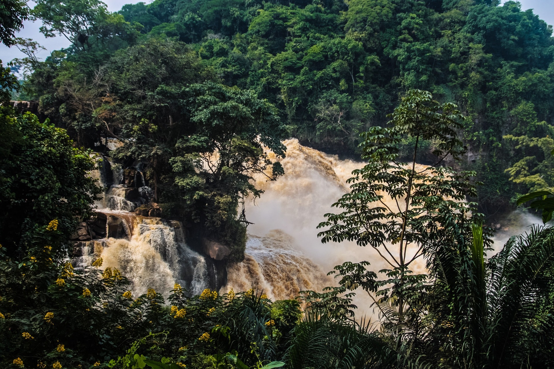 3-day-gorilla-tour-for-film-crews