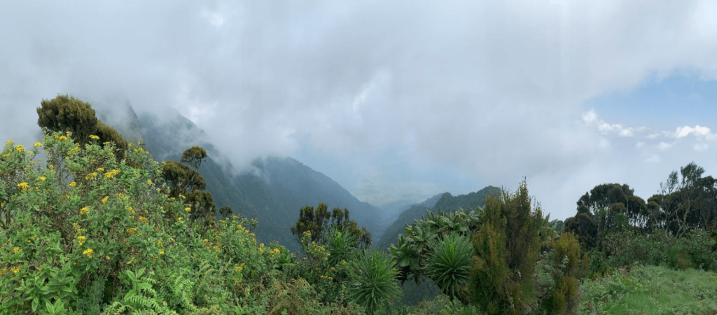 Mt. Sabyinyo-tour-rwanda