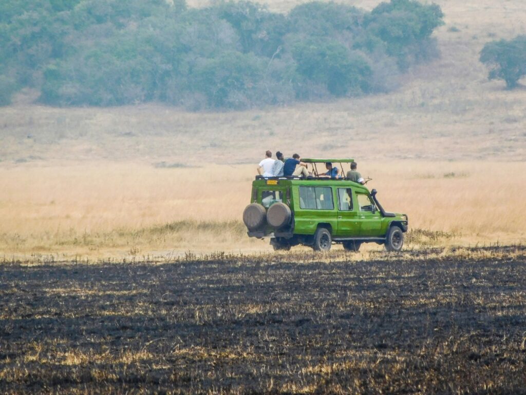 akagera-lions-on-safari