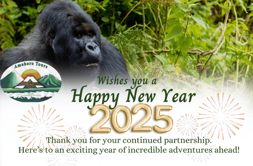happy-new-years-2025-amahoro-tours-