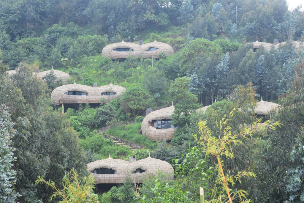 best-lodge-in-rwanda-for-gorilla-tours