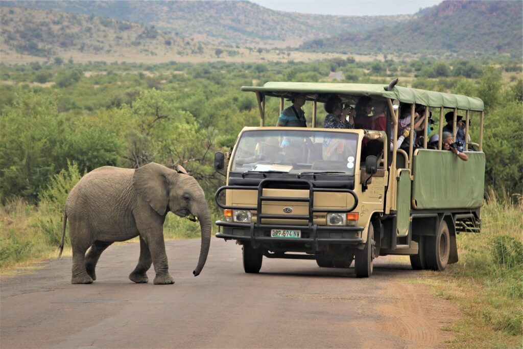 big-5-rwanda