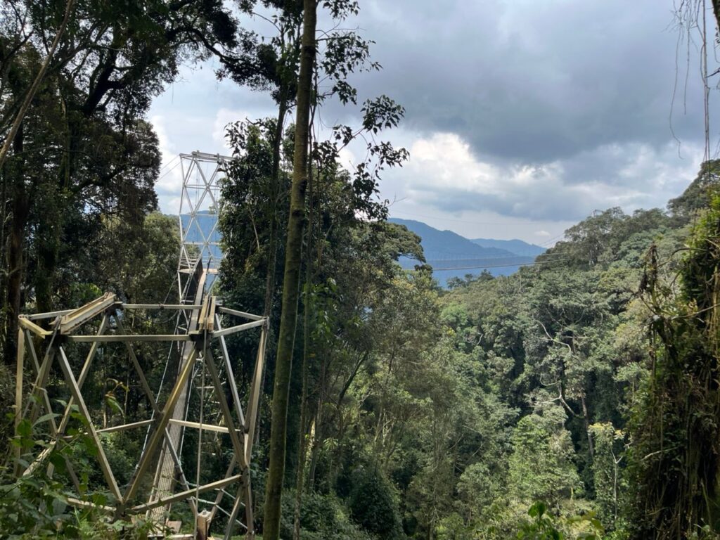 Congo-vs-Rwanda-Chimpanzee-trekkingjpg