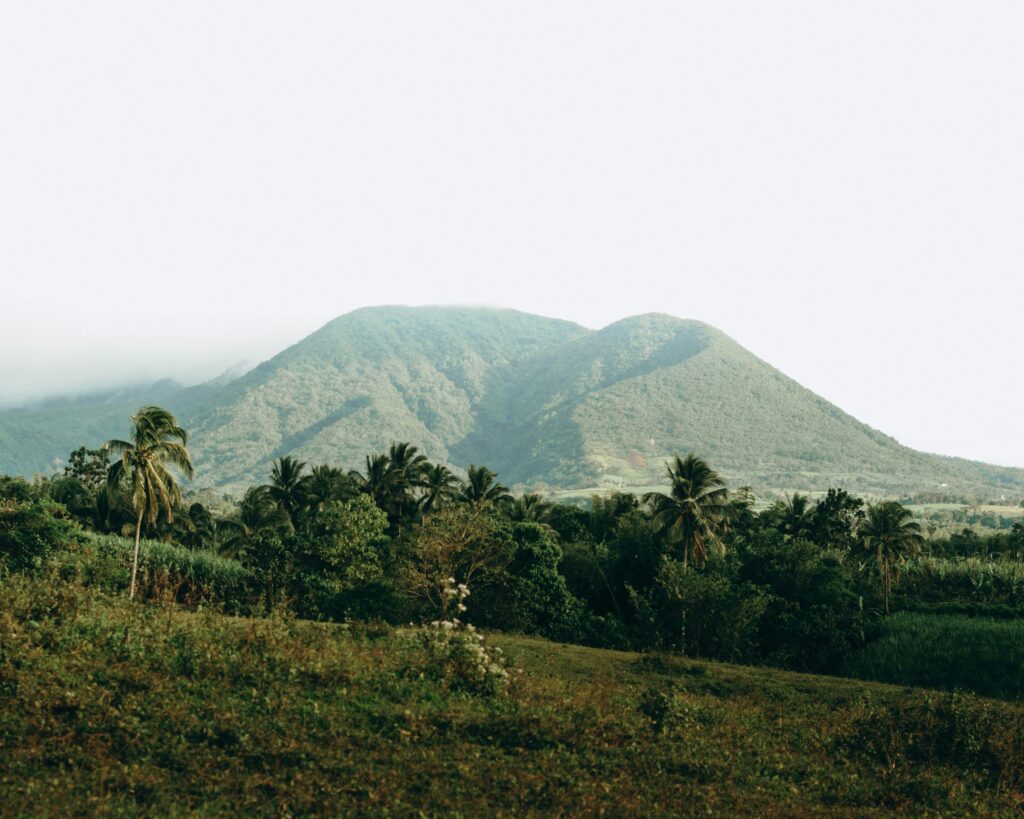 eco-tourism-in-Virunga-massif