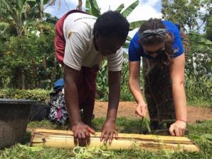 after-gorilla-trekking-activity
