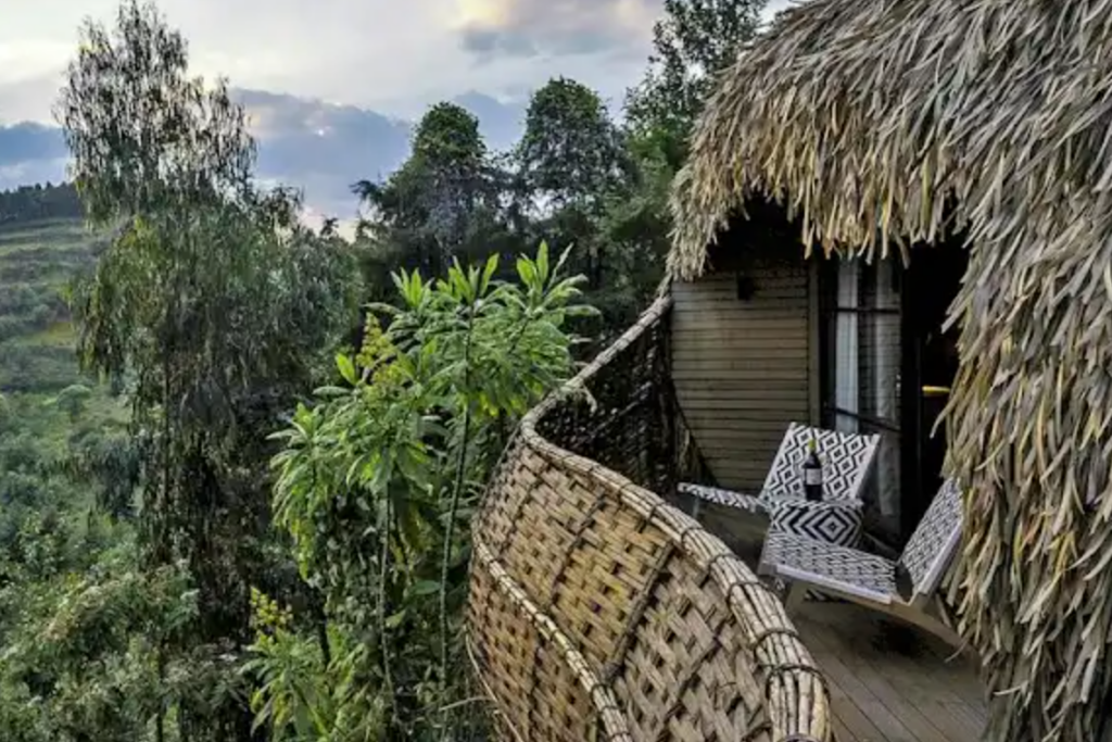 wilderness-bisaste-amahoro-tours