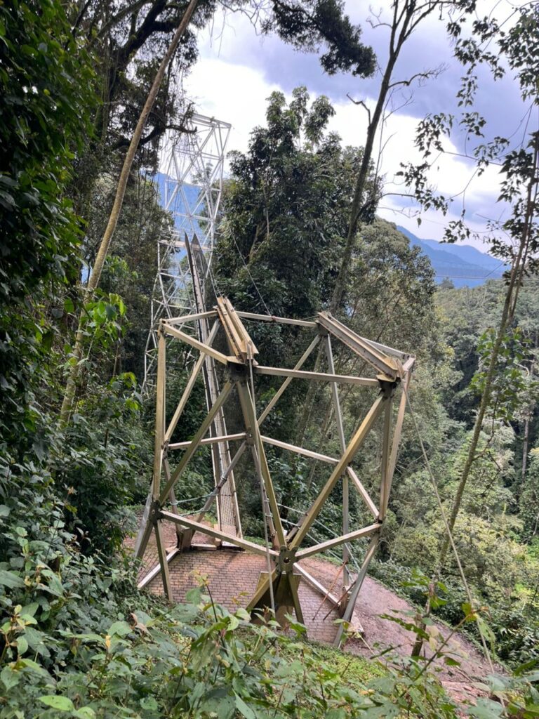 2026-nyungwe-chimpanzee-tours