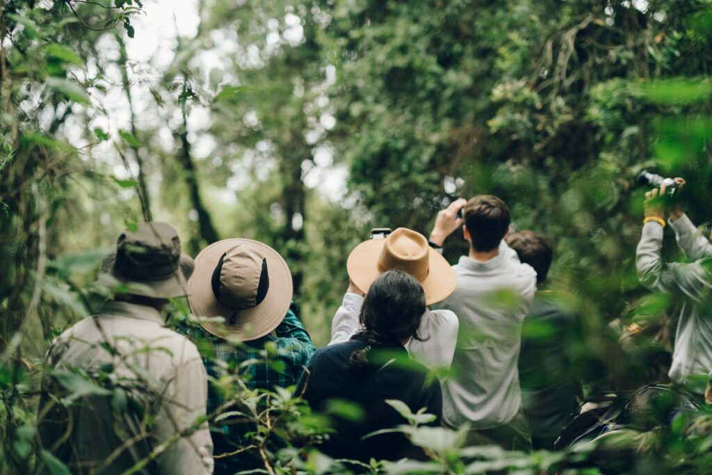 10-day-tour-in-Uganda-Amahoro-Tours