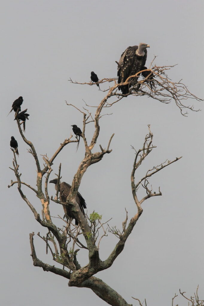Nyabikere-Crater-Lake