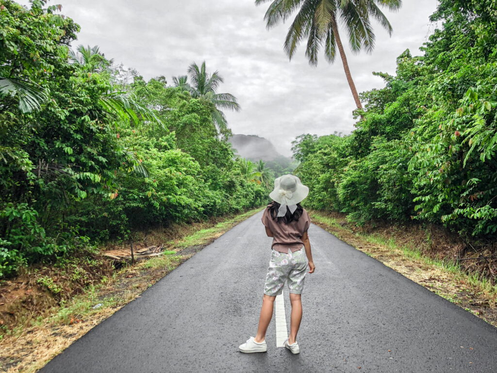 best-congo-tropical-rainforest-tours