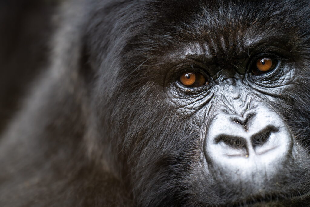 great-rift-valley-safari-tours