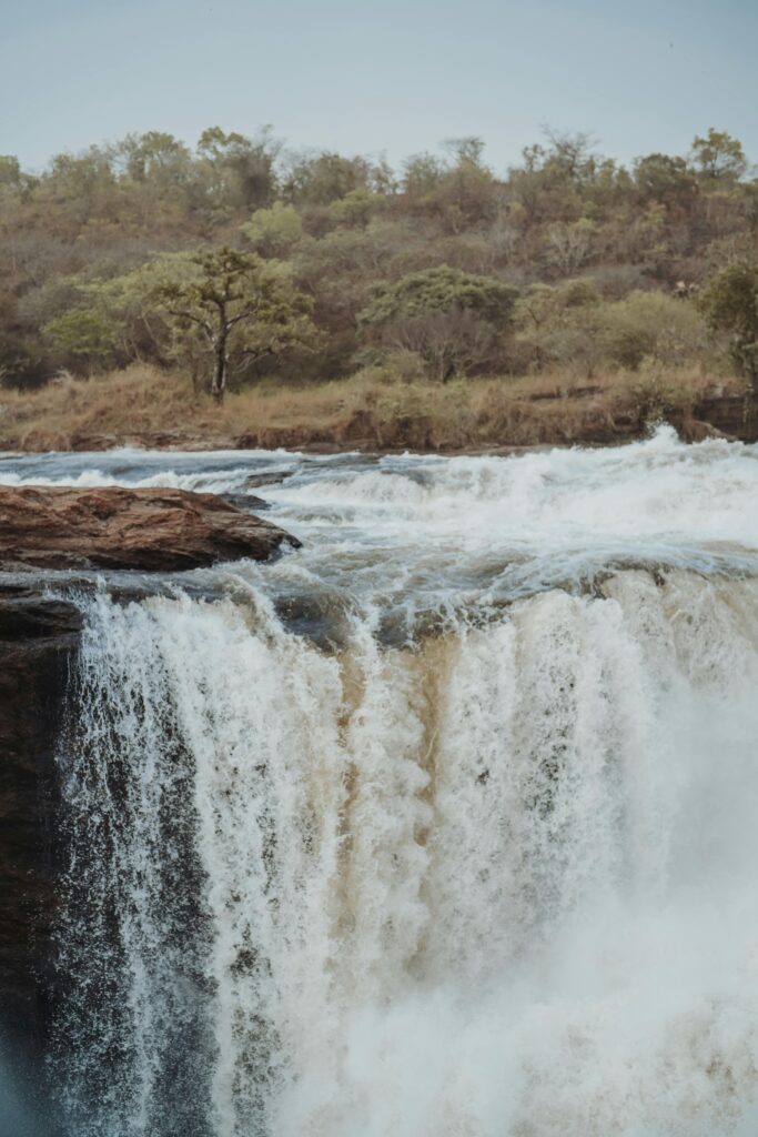 murchison-falls-safari