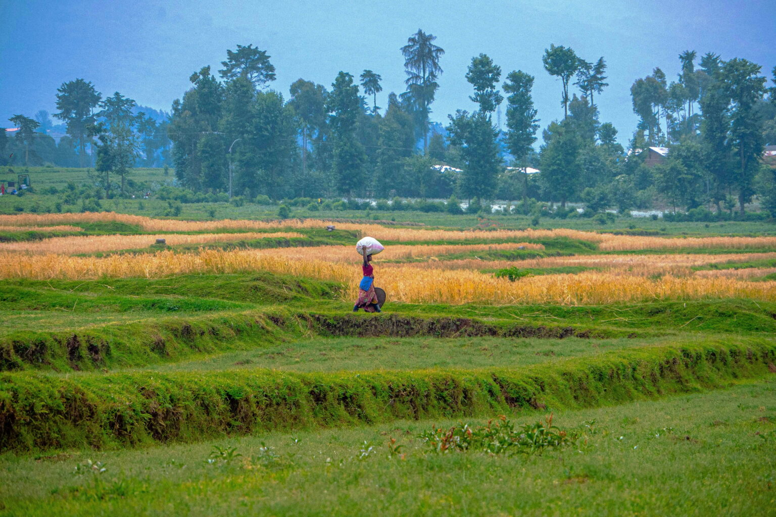 honeymoon-in-rwanda