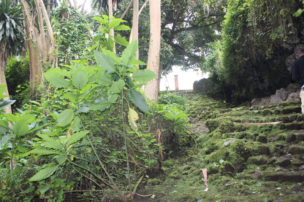 Musanze-cave-day-tour