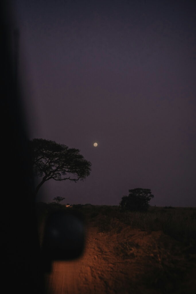 akagera-at-night