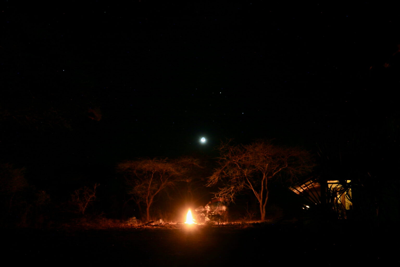 night-safari-akagera