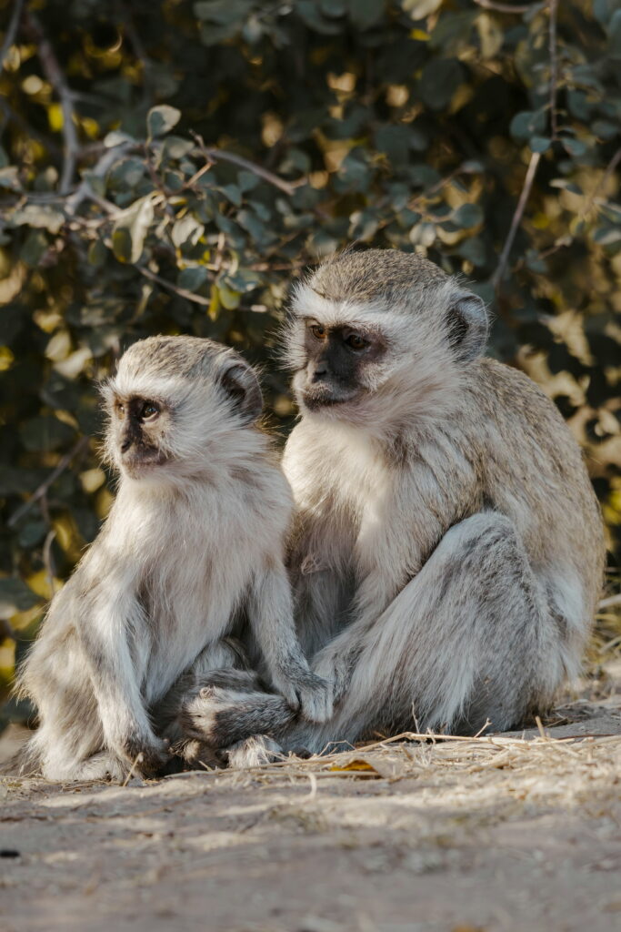 family-tour-12-days-rwanda-family