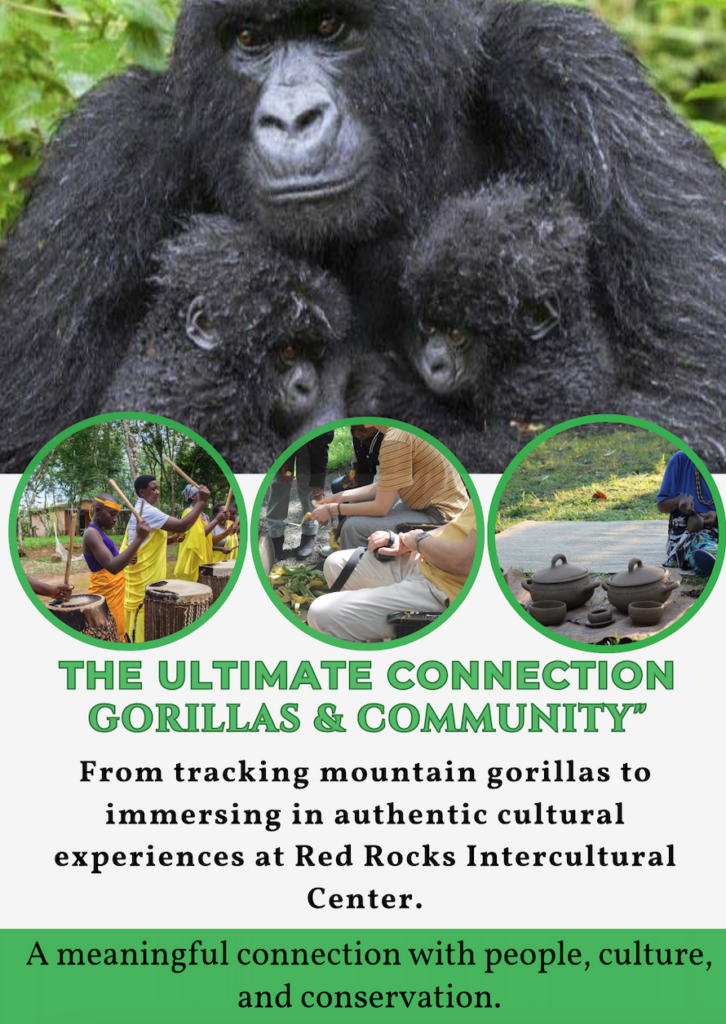 gorillas-and-community